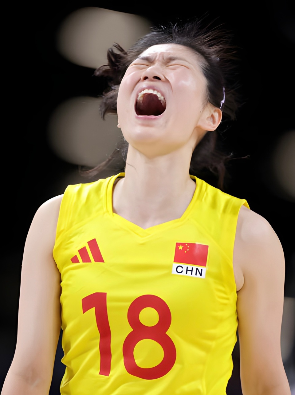 东京奥运前, 自己被网暴