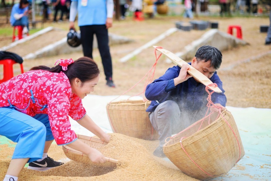 恰逢第八个, 收节到来之, 是节庆活动 恰逢第八个, 收节到来之, 是节庆活动